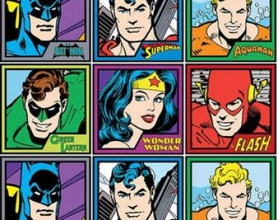 DC Comics Meet The Heroes Fabric