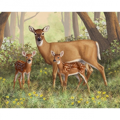 Deer And Her Family Panel