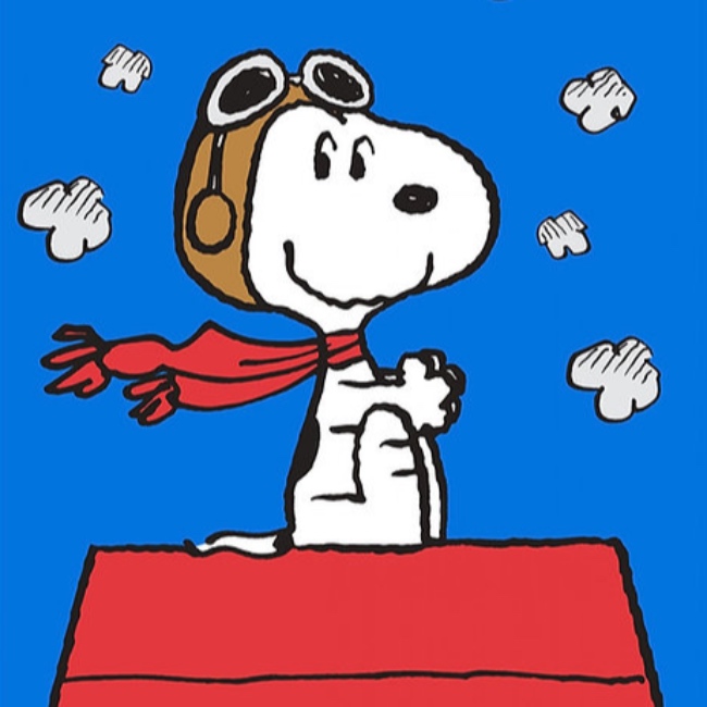 Snoopy / Peanuts