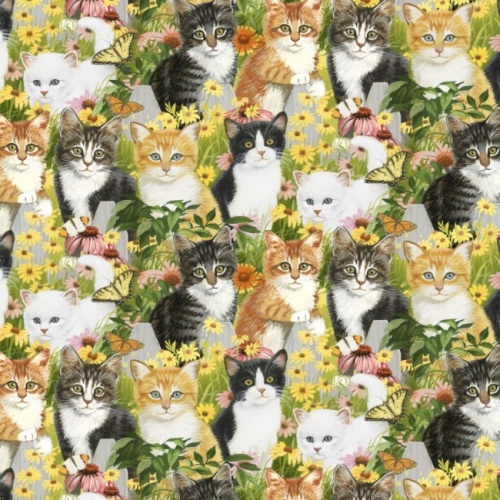 Kittens and Daisies - Animal Love Fabric