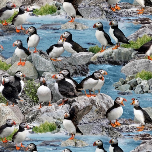 Blue Puffins Fabric | Elizabeth's Studio