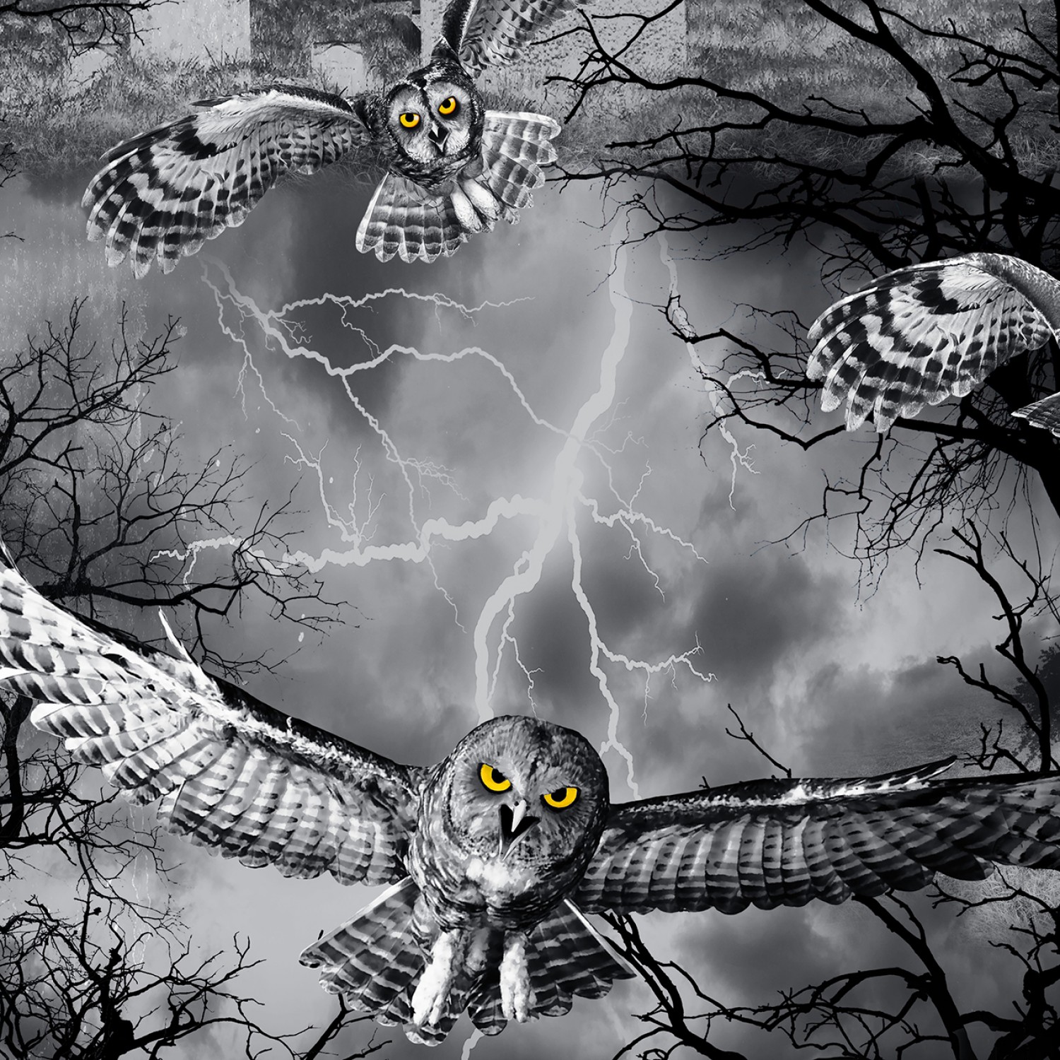 Wicked Night Fog Owls