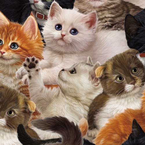 Literary Kitties Packed Kitties - Quilting Treasures Cat Fabric