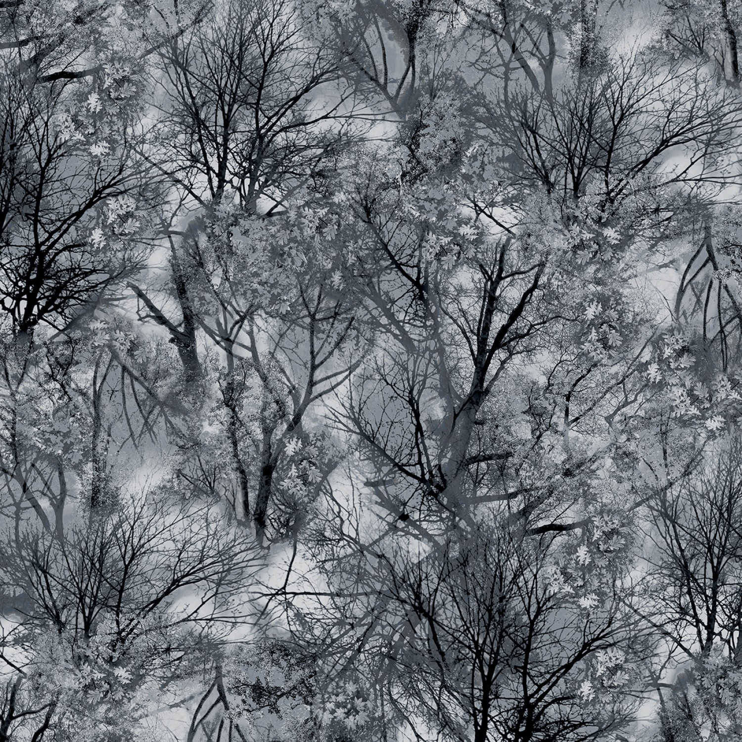 Wicked Fog Black Eerie Trees fabric