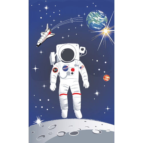 Nasa Astronaut Panel 24in x 40in Panel