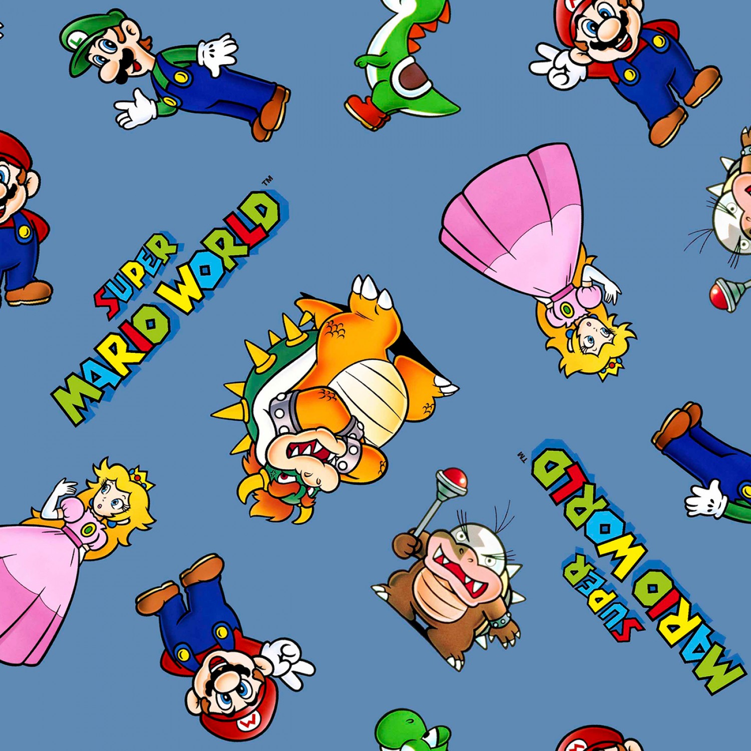 Nintendo Super Mario and Friends Fabric