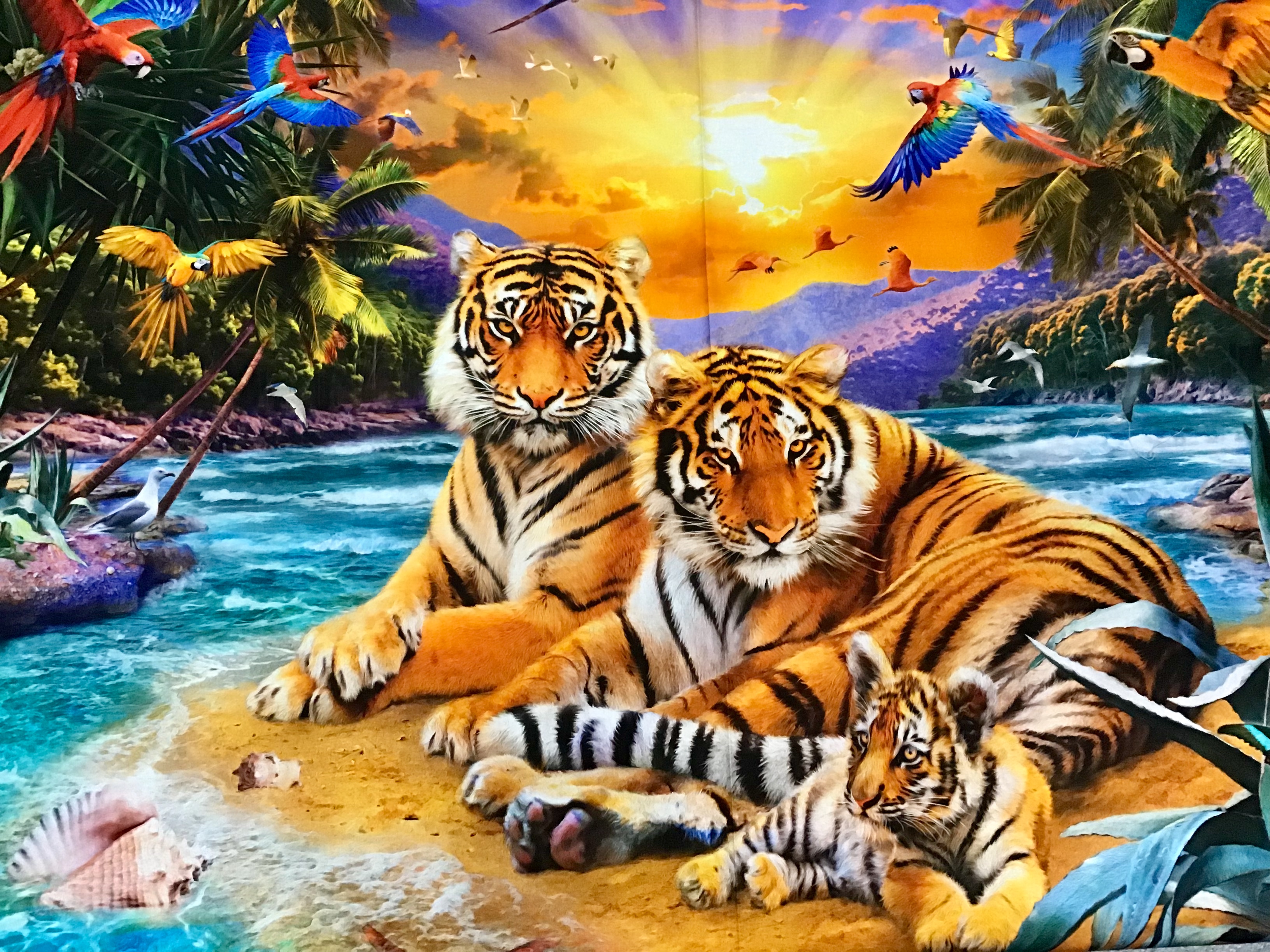 Wild Tigers Digitally Printed Panel 36in