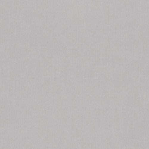 Ash 1007 - Kona Solids Fabric