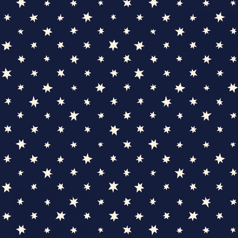 Navy I Wish Stars Glow in the dark fabric