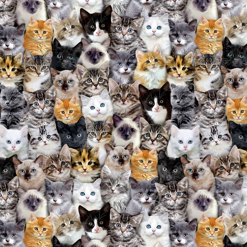 Multi Mixed Cat Breeds Fabric