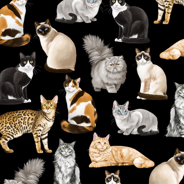 Black Feline Fancy Cats Fabric