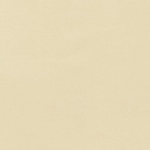 Champagne 1069 - Kona Solids Fabric