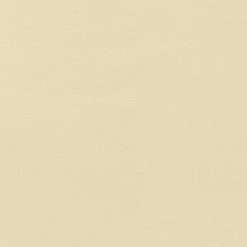 Champagne 1069 - Kona Solids Fabric