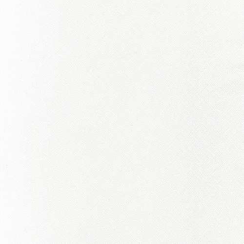 Robert Kaufman 108'' Widescreen - White on White