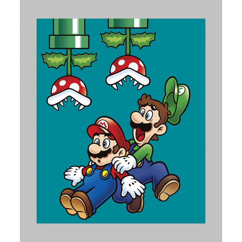 Mario Bros Jump Panel