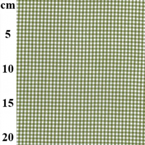 Green - Gingham Check Fabric