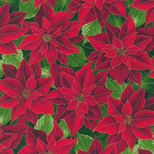 Holiday Flourish Extra Wide - Poinsettia Red