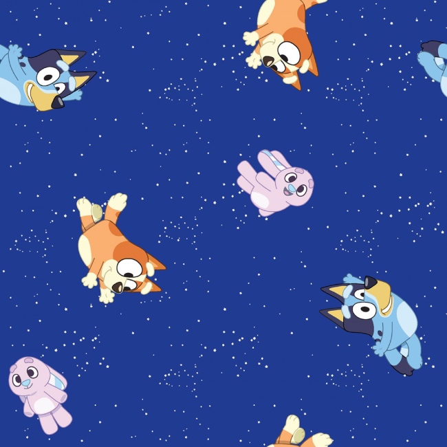 Disney Junior Goodnight Bluey Fabric