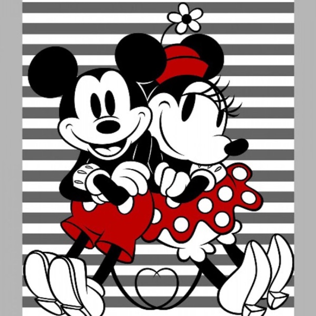 Disney Mickey and Minnie Mouse Panel