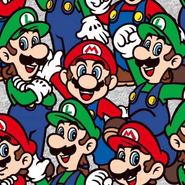 Nintendo Mario and Luigi Fabric