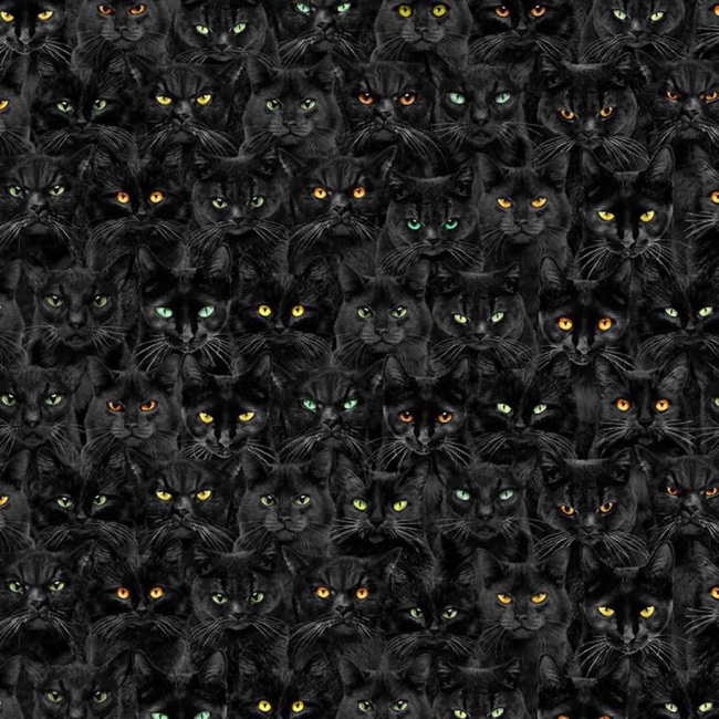 Wicked Black Cats Magic Halloween Fabric