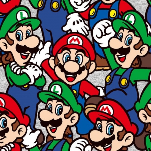 FB Nintendo Mario and Luigi Fabric