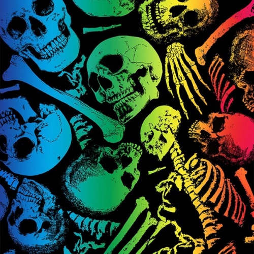 No Bones About It Rainbow Skulls Fabric
