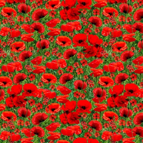 Poppy Field Fabric