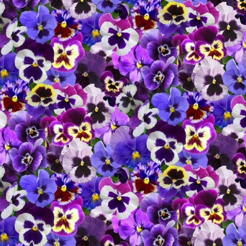 Purple Packed Pansies Fabric