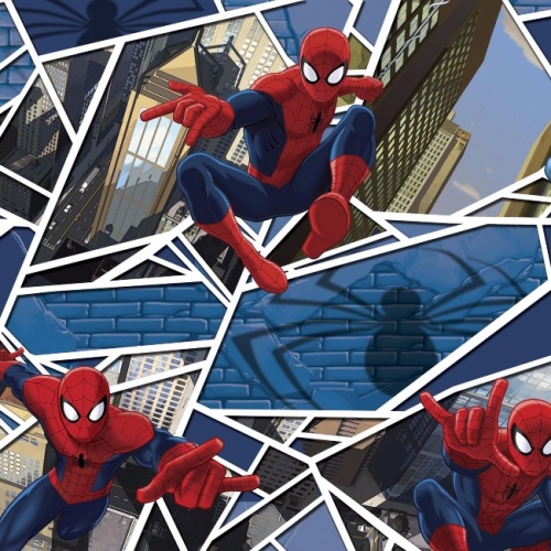 Spiderman Panes Fabric