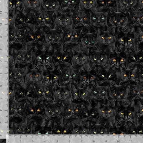 Wicked Black Cats Magic Halloween Fabric