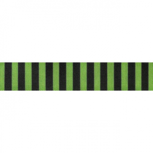 Halloween Witches Stripe Ribbon Green 5m